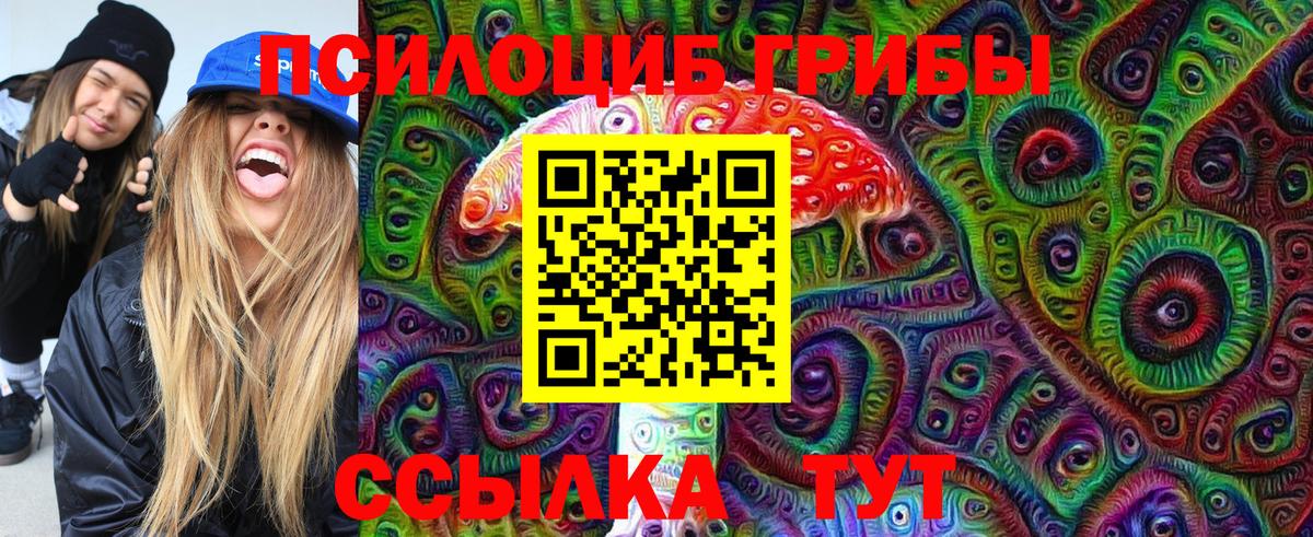 Галлюциногенные грибы Psilocybine cubensis Новокузнецк