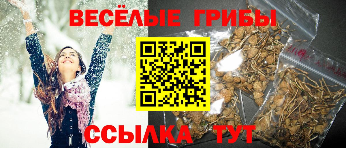 Новокузнецк  Псилоцибиновые грибы Magic Shrooms  Псилоцибиновые грибы Cubensis  Вход с VPN 